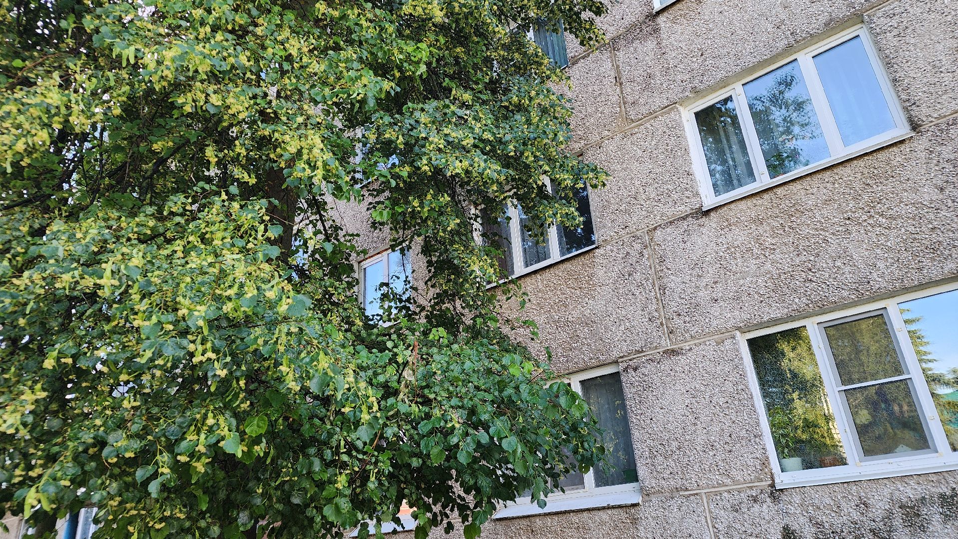 ступино, выездная администрация, благоустройство,