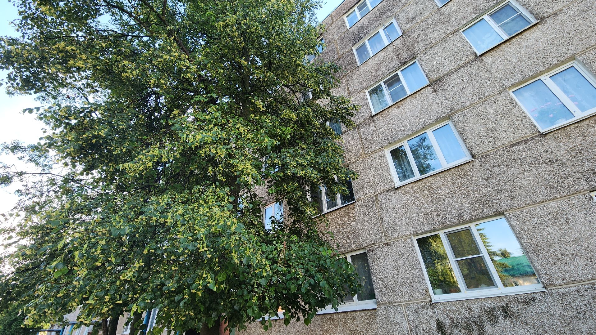 ступино, выездная администрация, благоустройство,