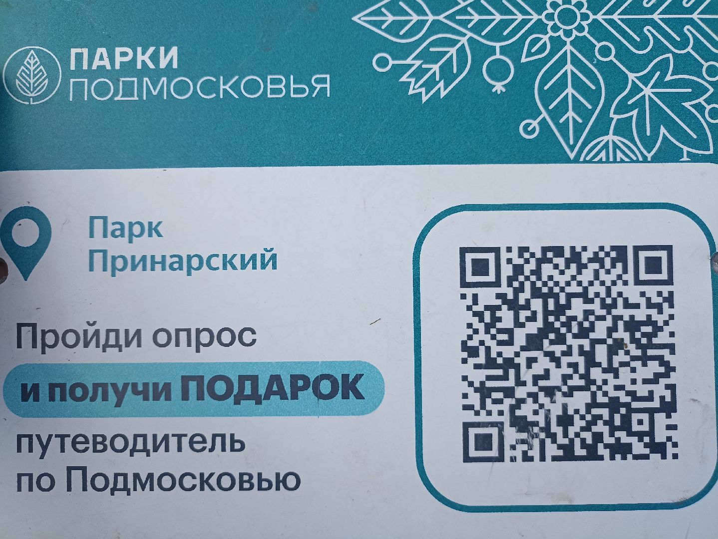 Серпухов, спорт, воркаут, парк, здоровье