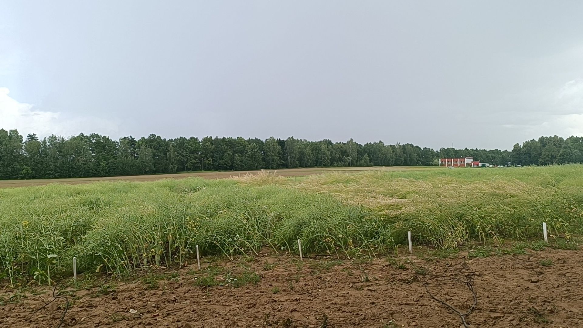 сельское хозяйство, кормопроизводство, ВИК, лобня,