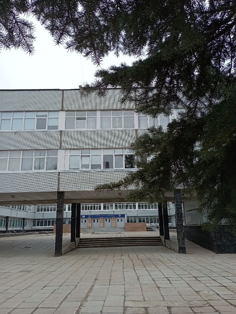 месяц благоустройства, школа, Дубна, ЖКХ