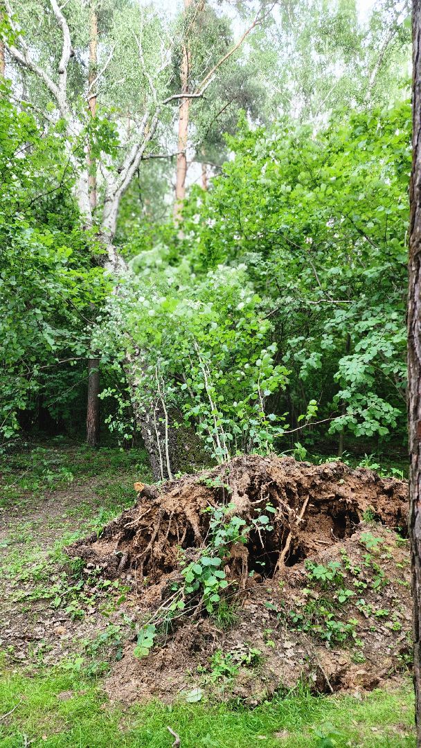 парк Гальчино, выездная администрация, Домодедово,