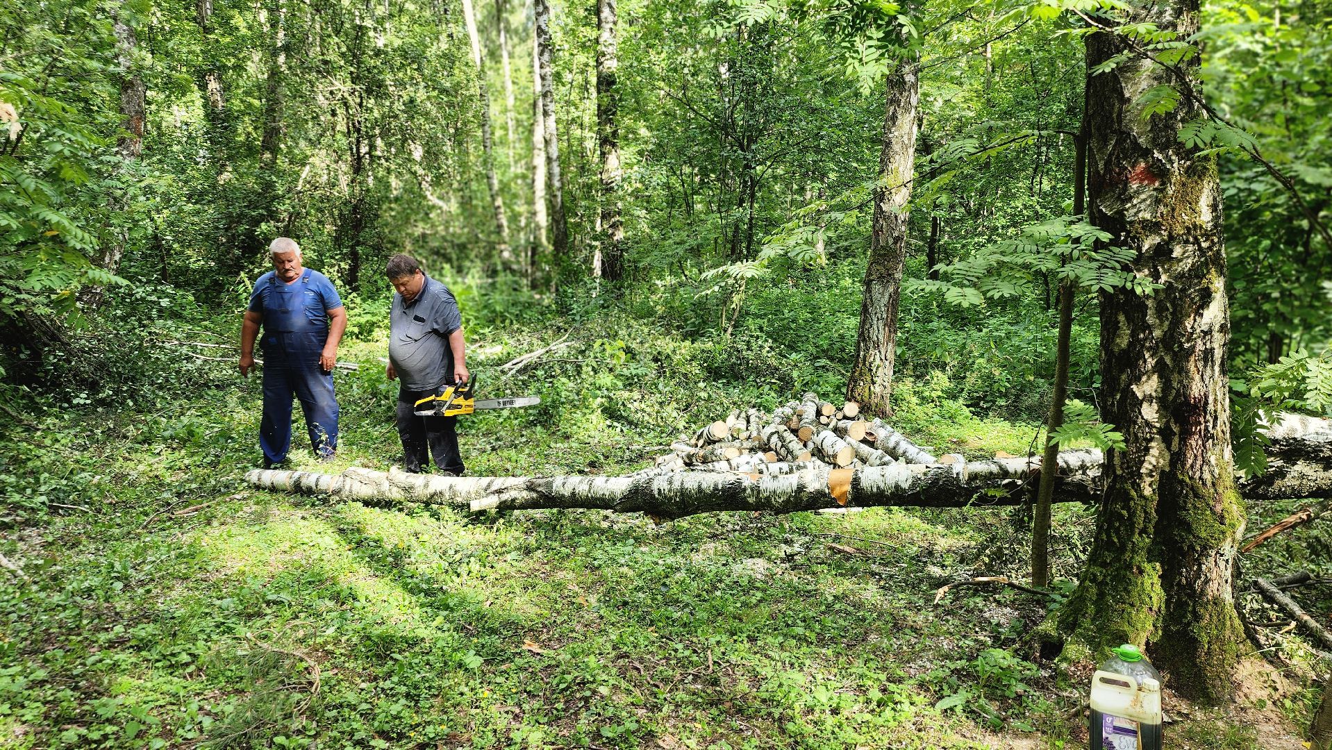 парк Гальчино, выездная администрация, Домодедово,