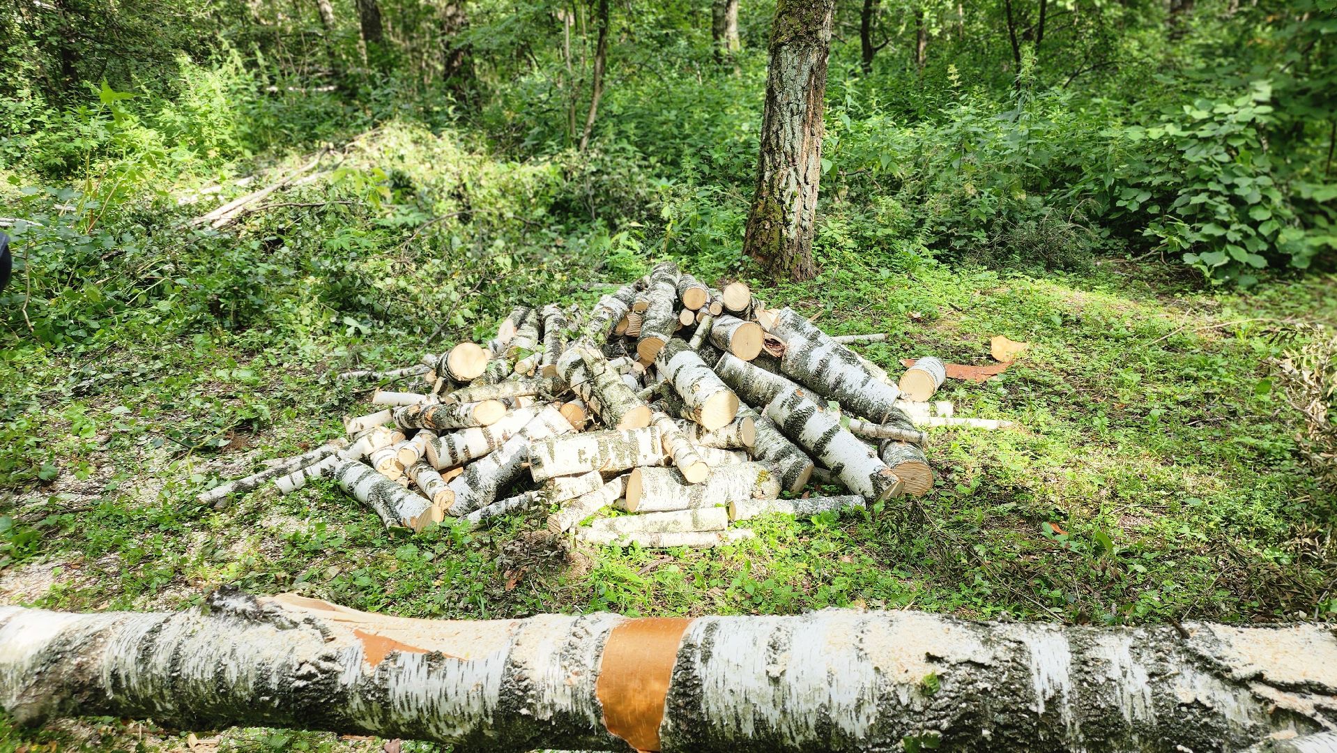 парк Гальчино, выездная администрация, Домодедово,