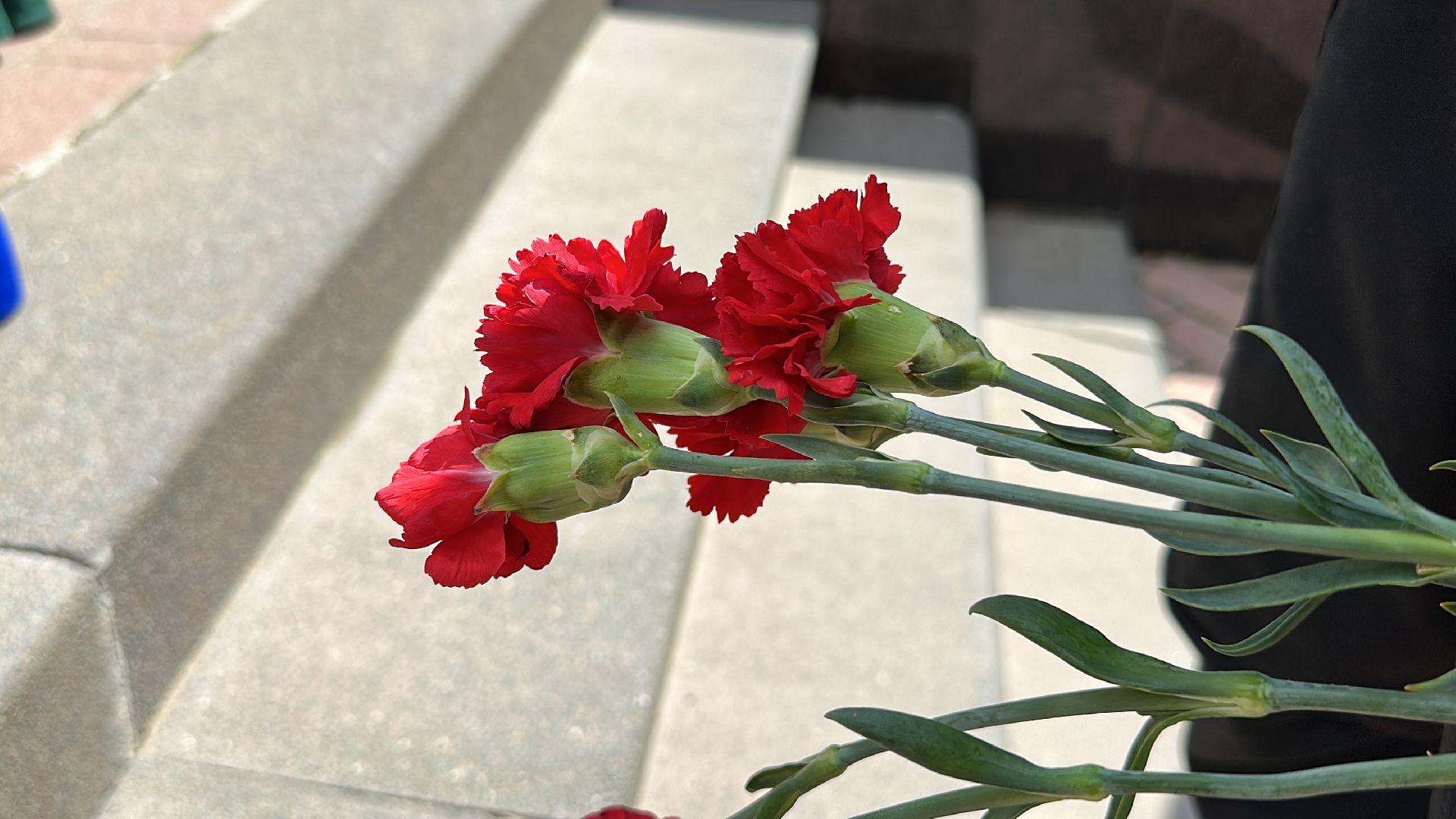 Клин, общество, память, ВОВ, ветераны,