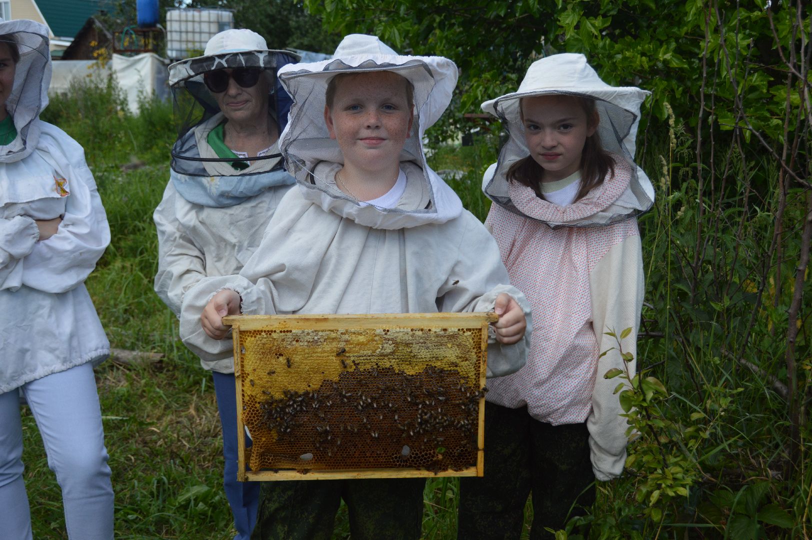 шатура, филисово, экскурсия для школьников, пасека, школьное лесничество,