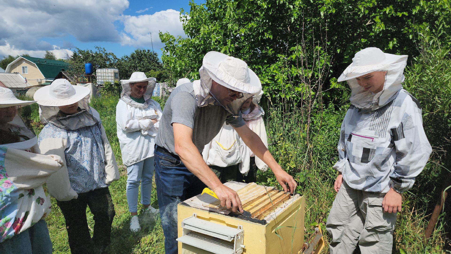 шатура, филисово, экскурсия для школьников, пасека, школьное лесничество,