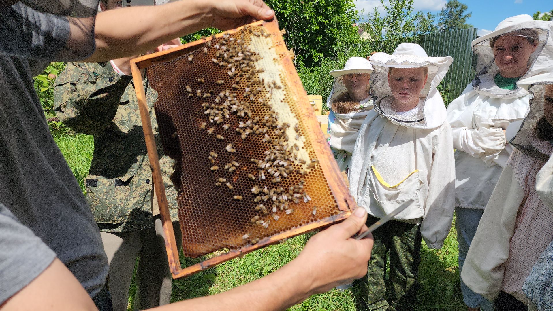 шатура, филисово, экскурсия для школьников, пасека, школьное лесничество,