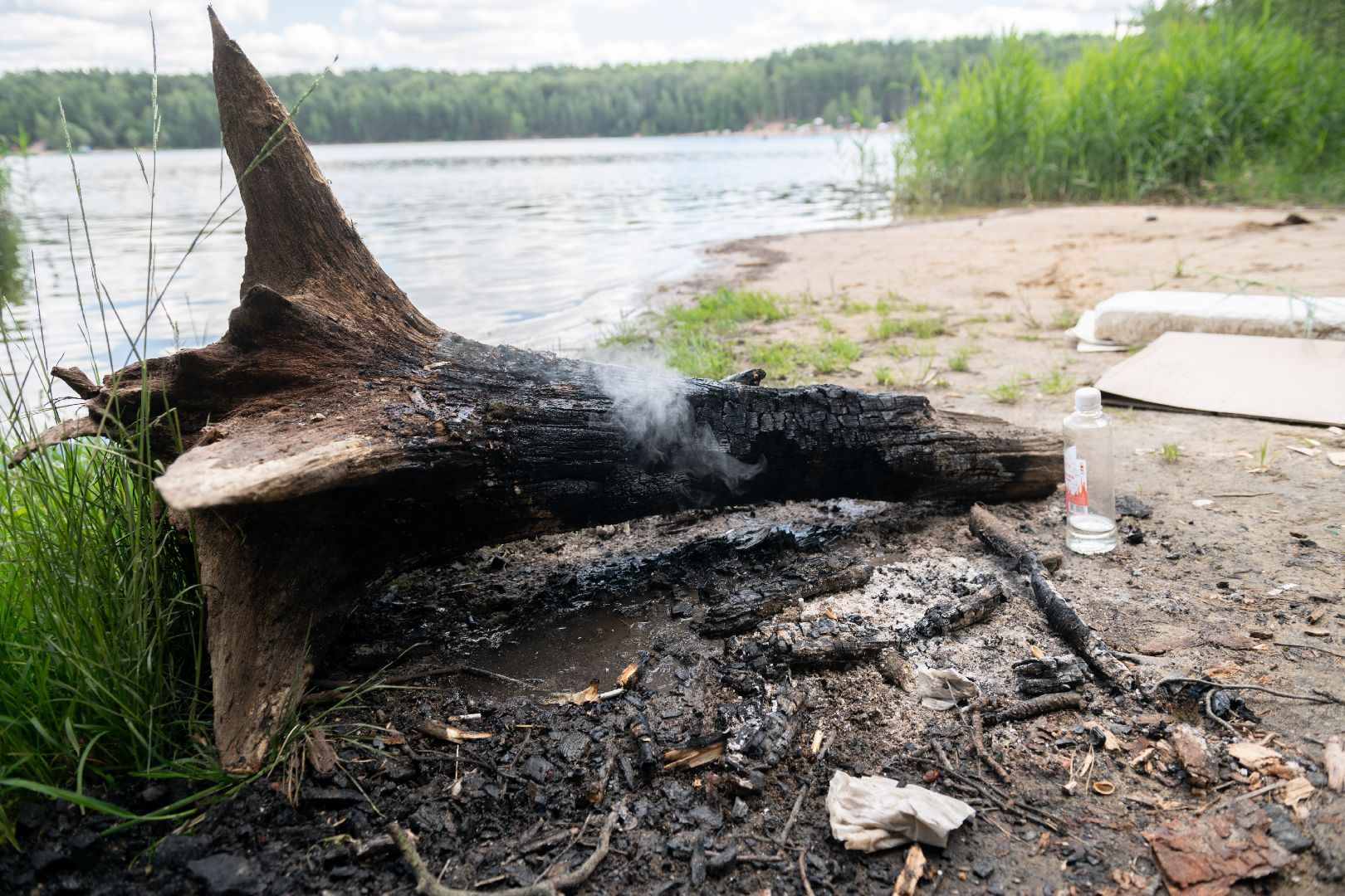 лыткарино, общество, волкуша, карьер, лесопарк, противопожарный рейд,