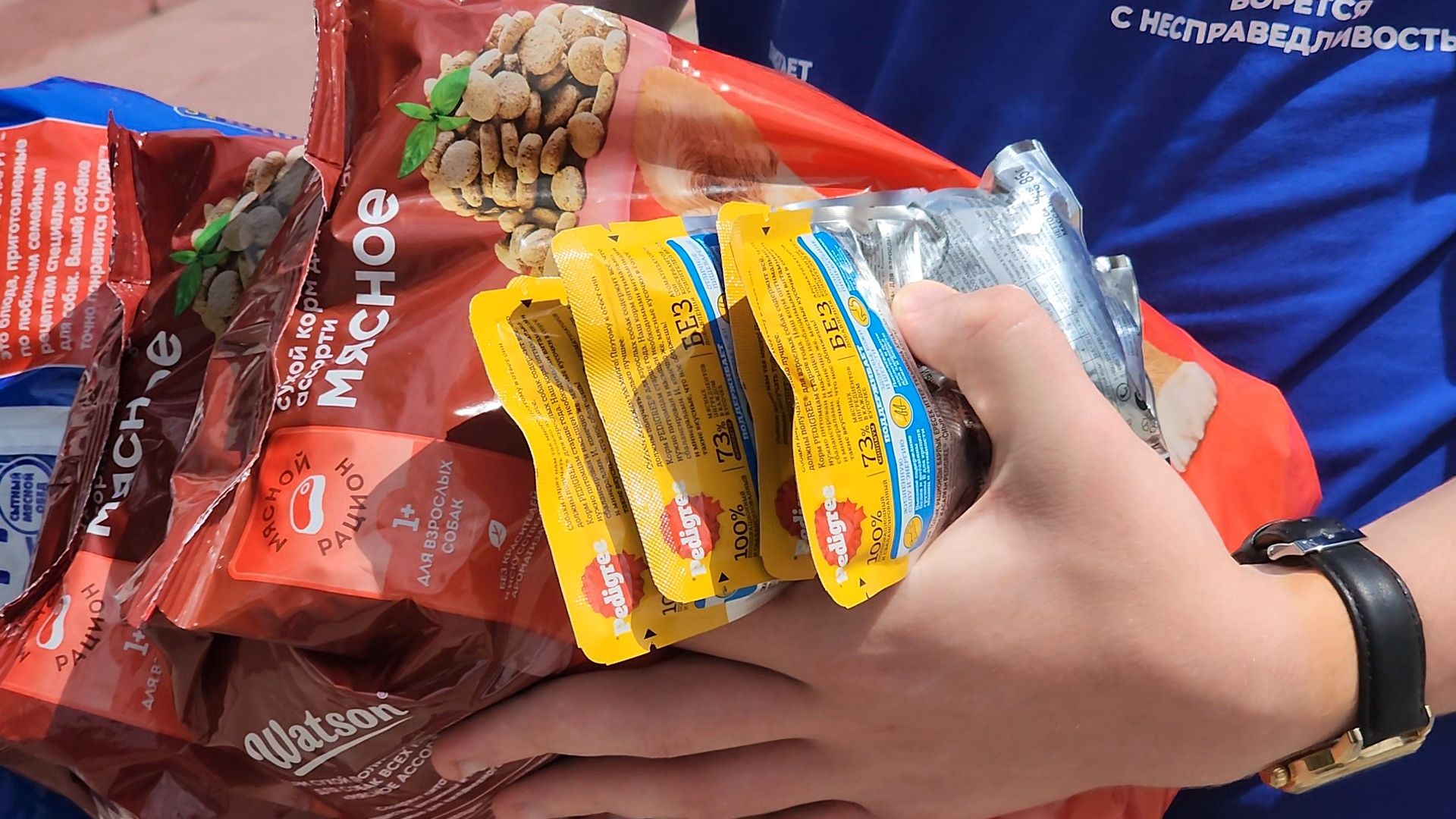 Коломна, благотворительная акция, помощь бездомным животным,