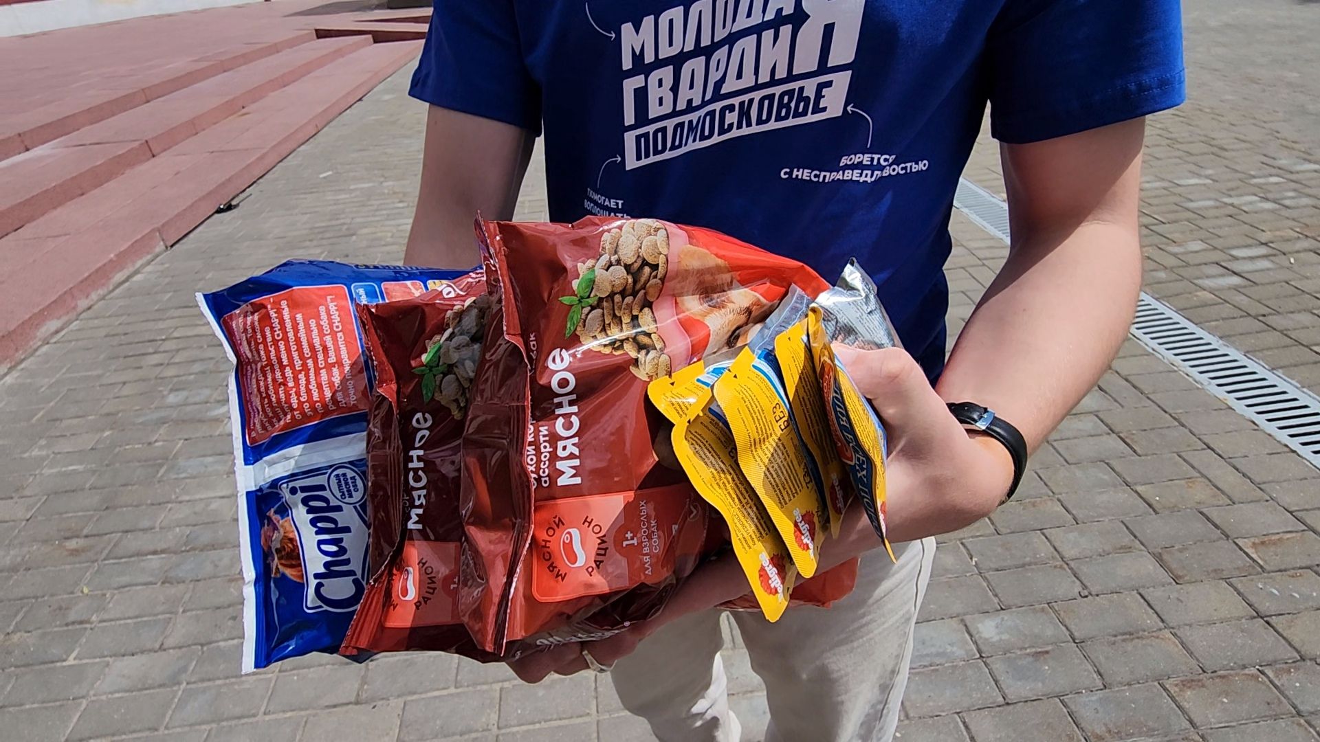 Коломна, благотворительная акция, помощь бездомным животным,