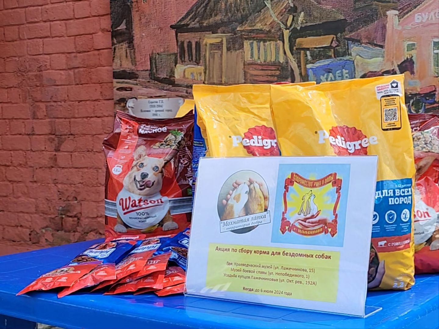 Коломна, благотворительная акция, помощь бездомным животным,