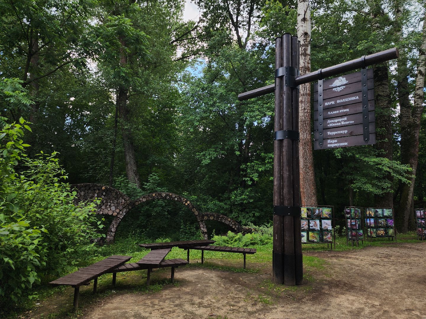 туризм, Волхонка, дендрарий, Ногинск, Богородский городской округ,