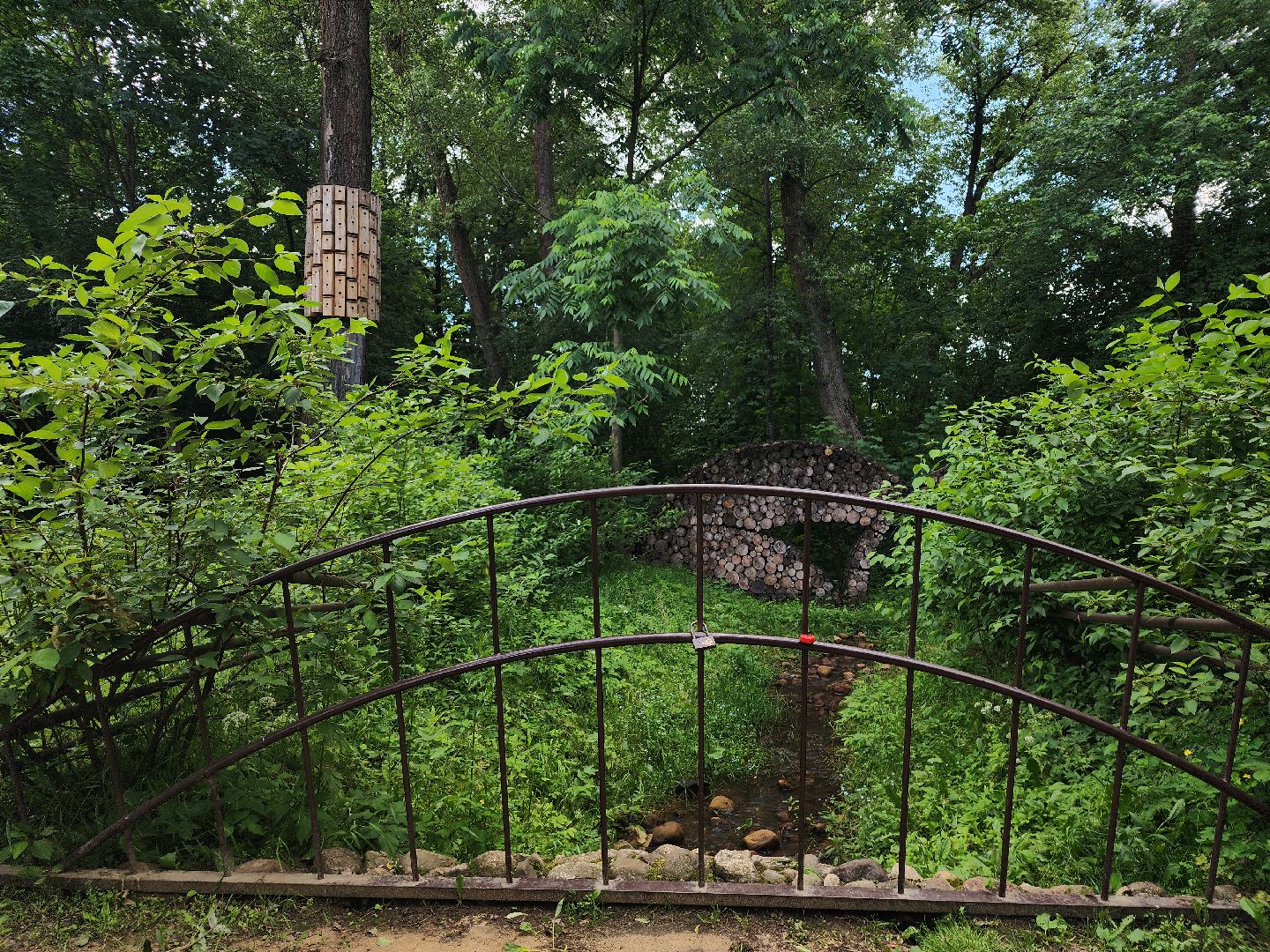 туризм, Волхонка, дендрарий, Ногинск, Богородский городской округ,