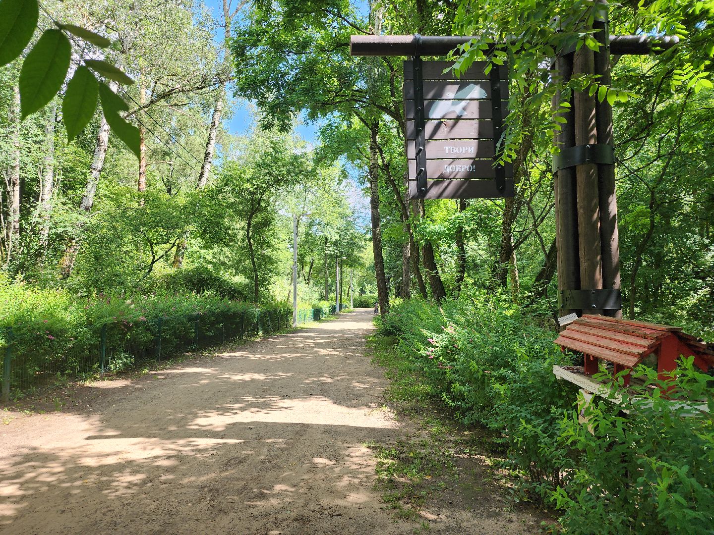 туризм, Волхонка, дендрарий, Ногинск, Богородский городской округ,