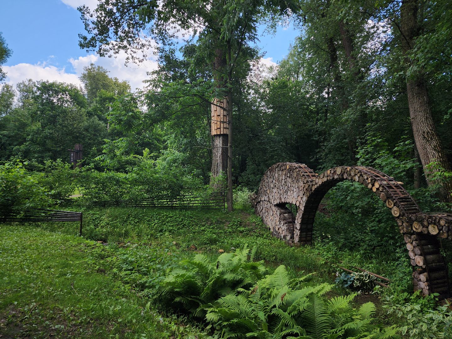 туризм, Волхонка, дендрарий, Ногинск, Богородский городской округ,