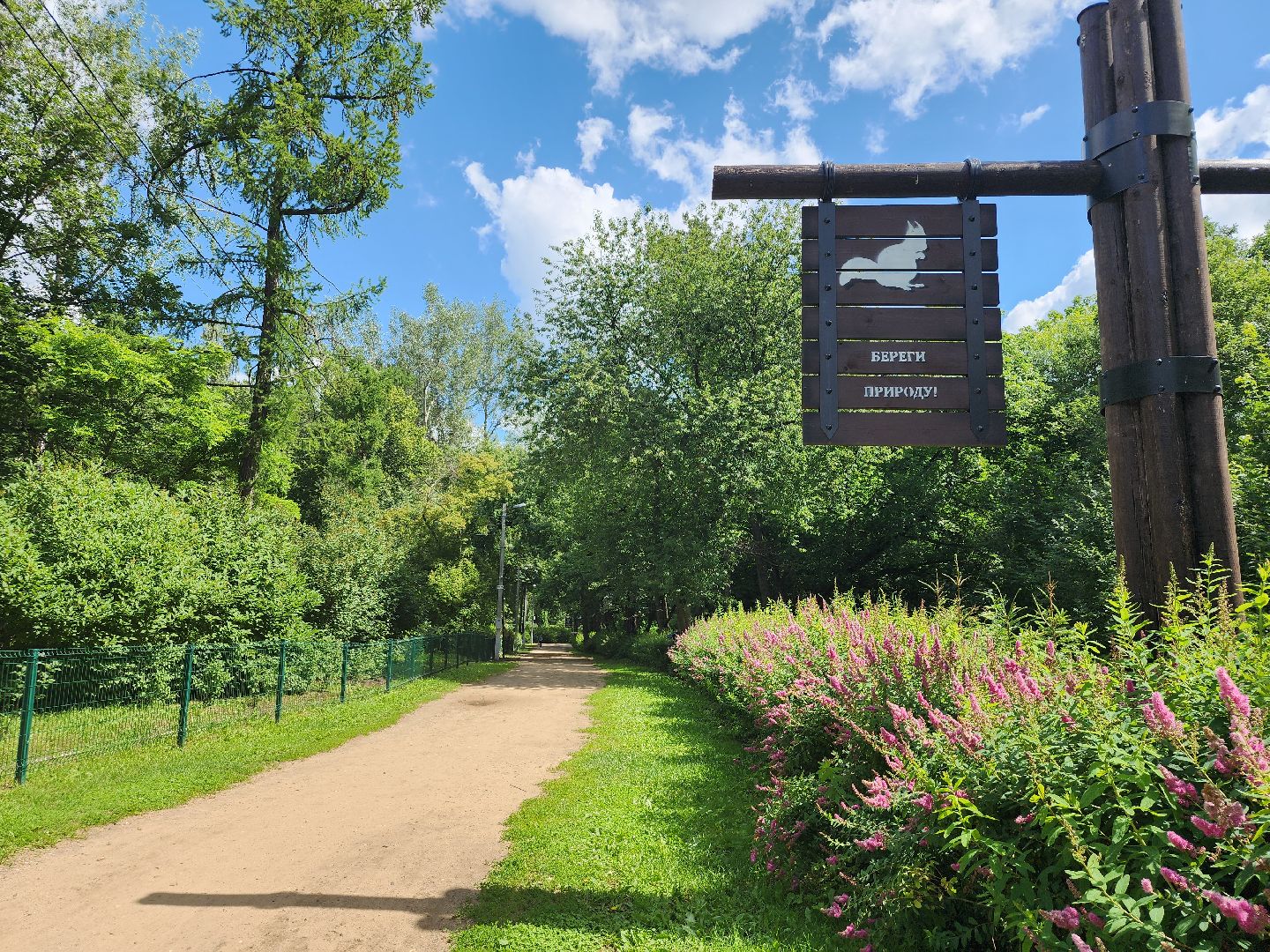 туризм, Волхонка, дендрарий, Ногинск, Богородский городской округ,