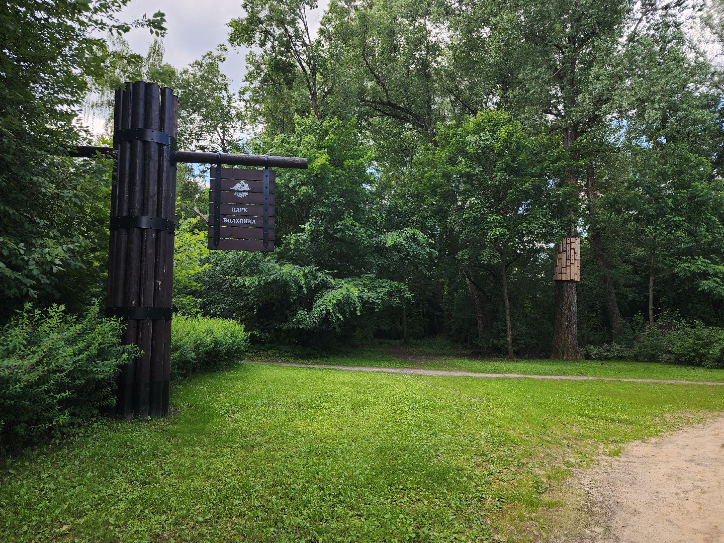 туризм, Волхонка, дендрарий, Ногинск, Богородский городской округ,