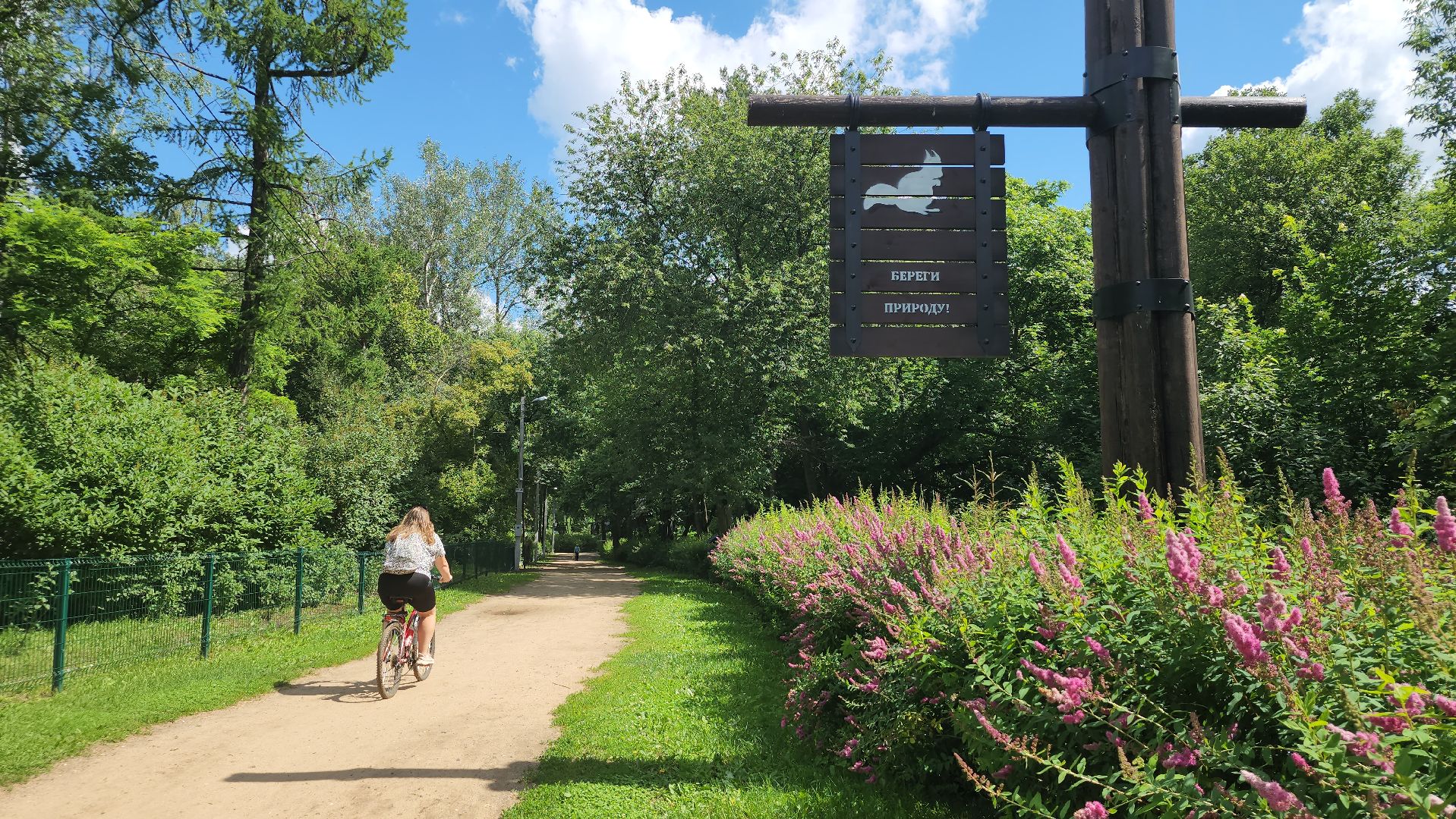 туризм, Волхонка, дендрарий, Ногинск, Богородский городской округ,