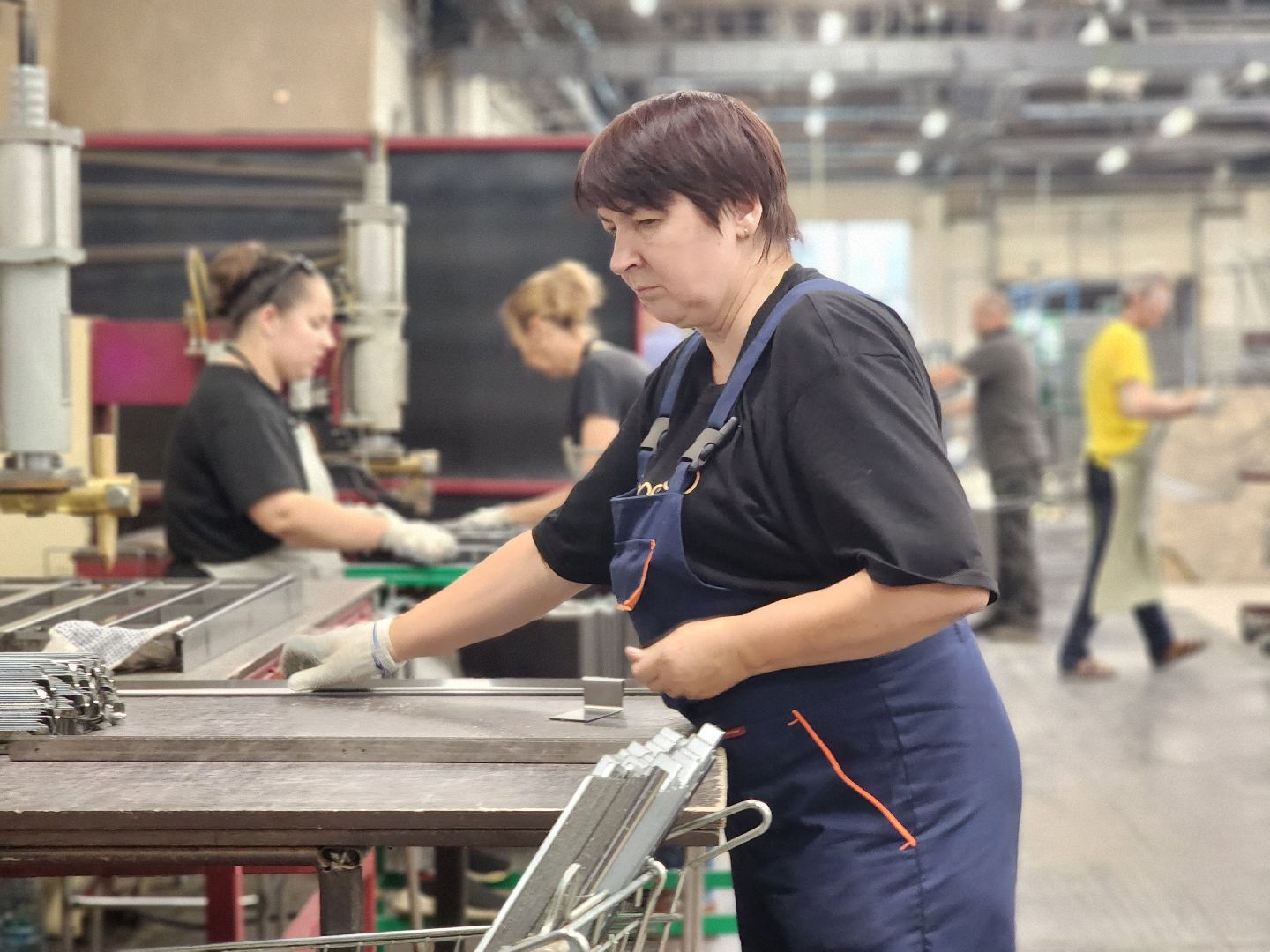 воскресенск, экономика, предприятие, импортозамещение,