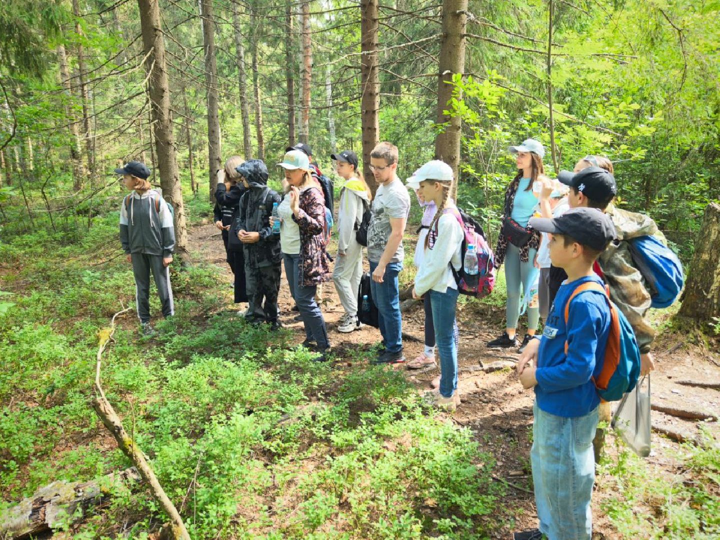 Звенигород, Образование,