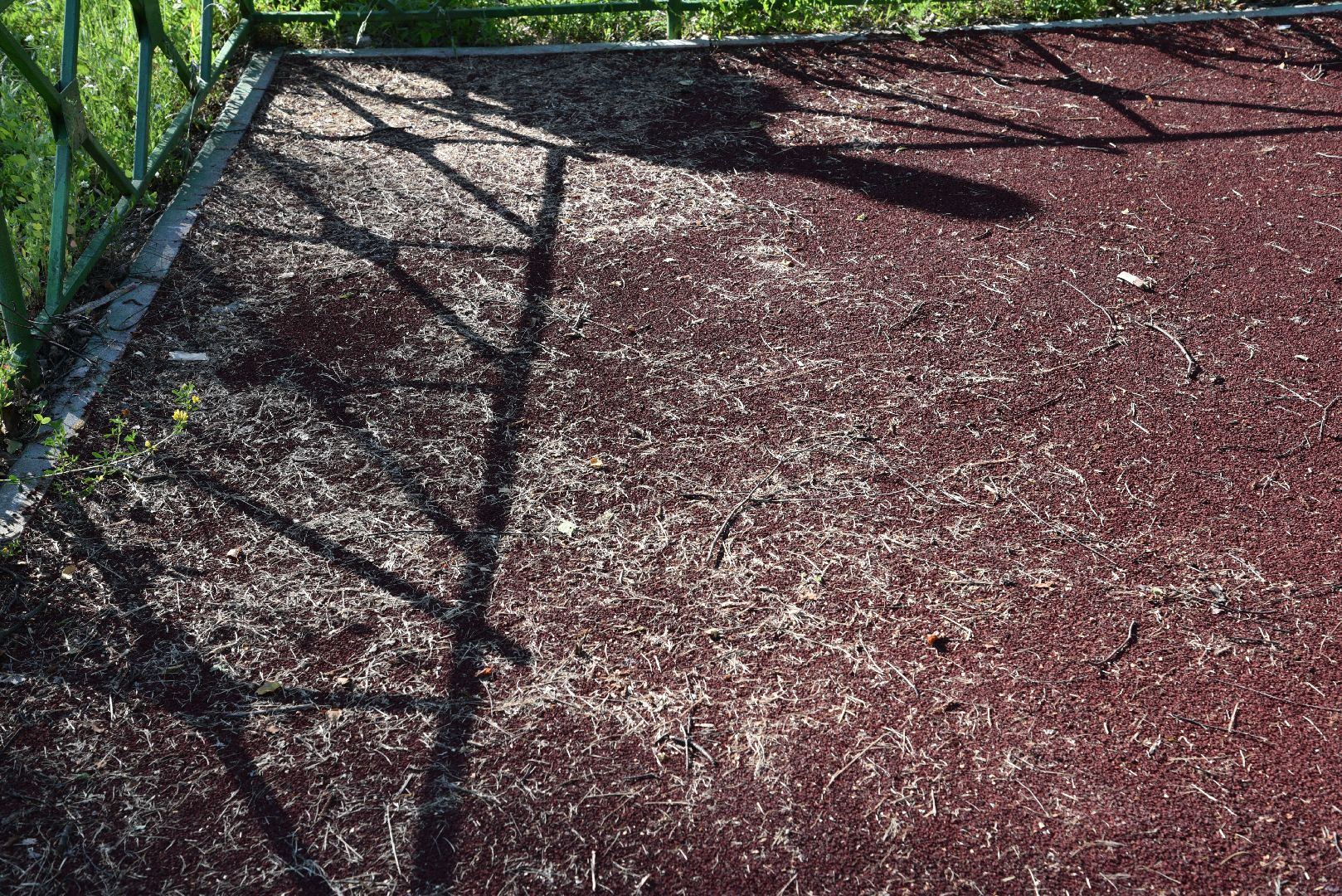 лотошино, большая сестра, выездная администрация,