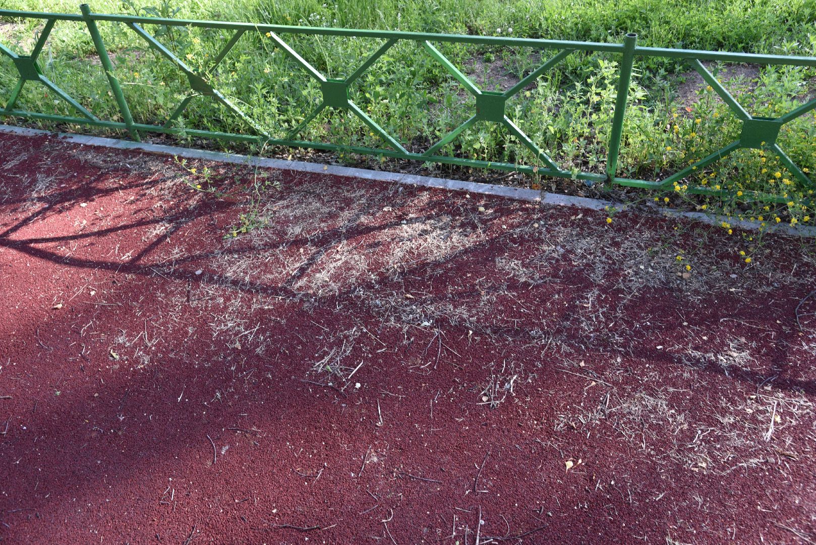 лотошино, большая сестра, выездная администрация,