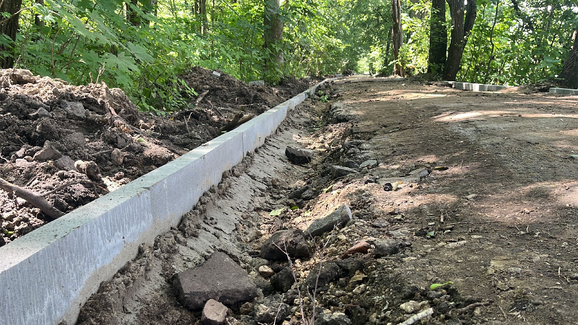 благоустройство, пруд, гагарин, лес, парк, лесопарк,