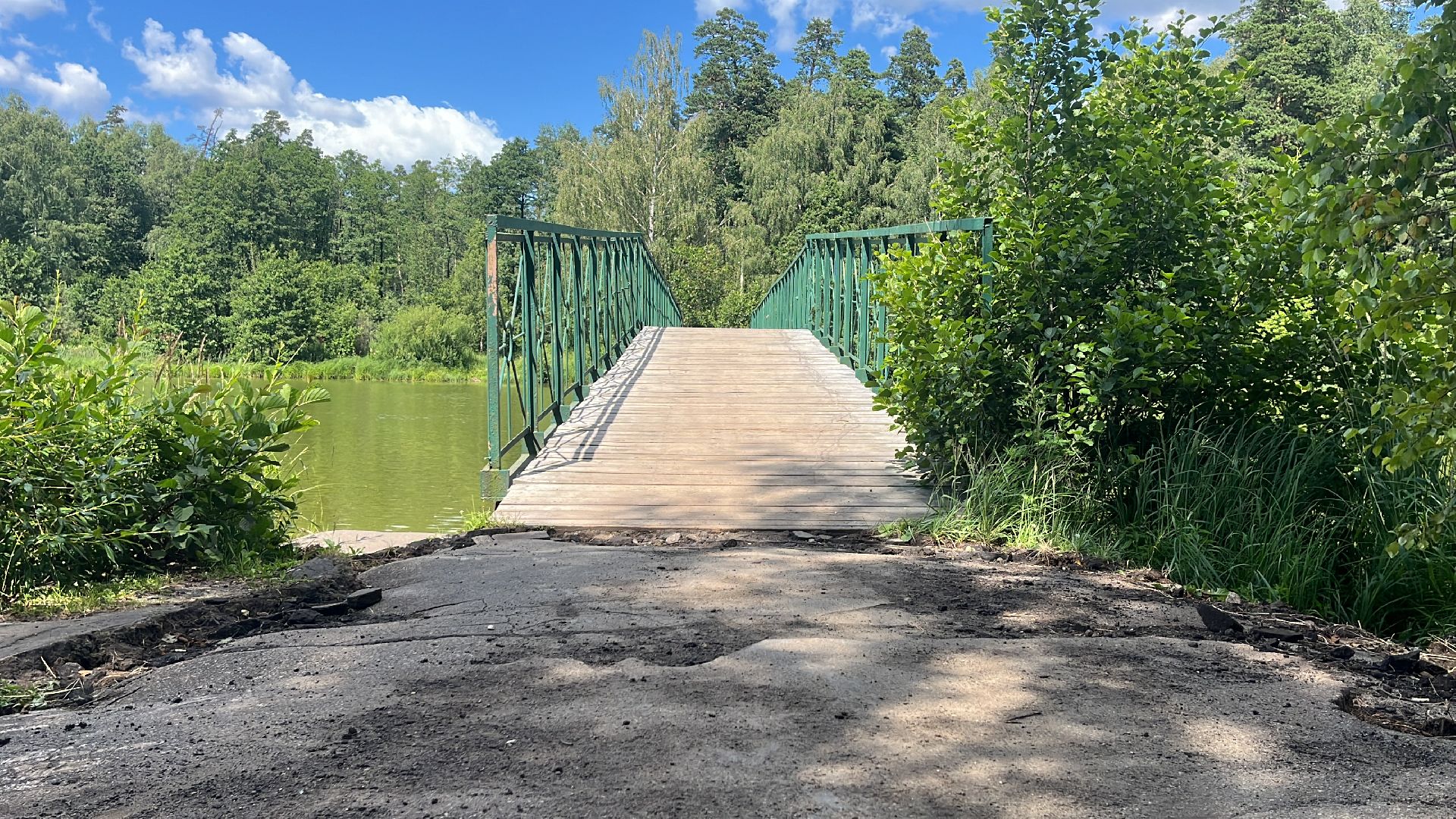 благоустройство, пруд, гагарин, лес, парк, лесопарк,