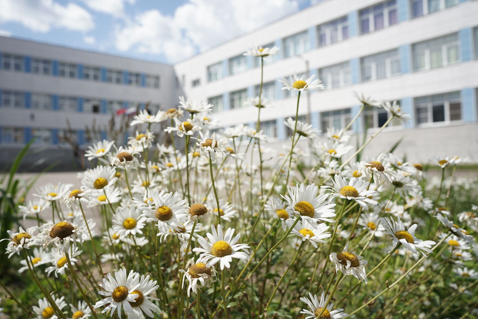 медалисты, Рошаль, рошальский лицей, Большая Шатура,