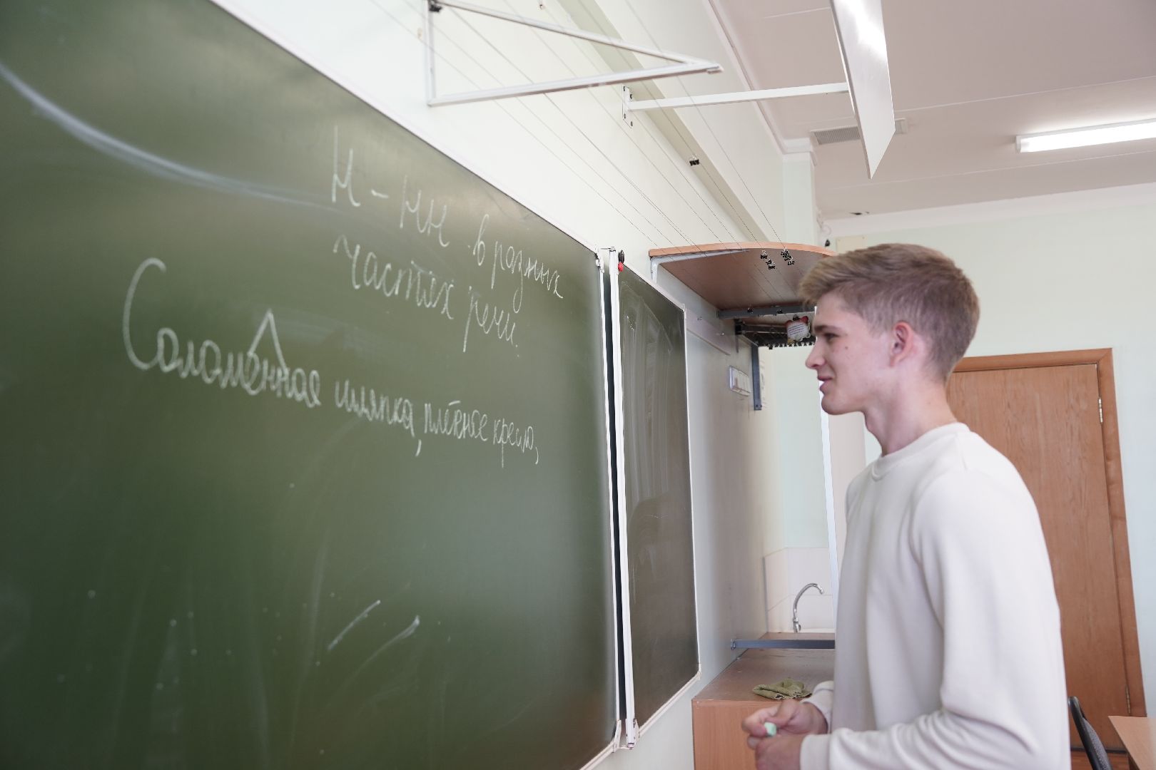 медалисты, Рошаль, рошальский лицей, Большая Шатура,