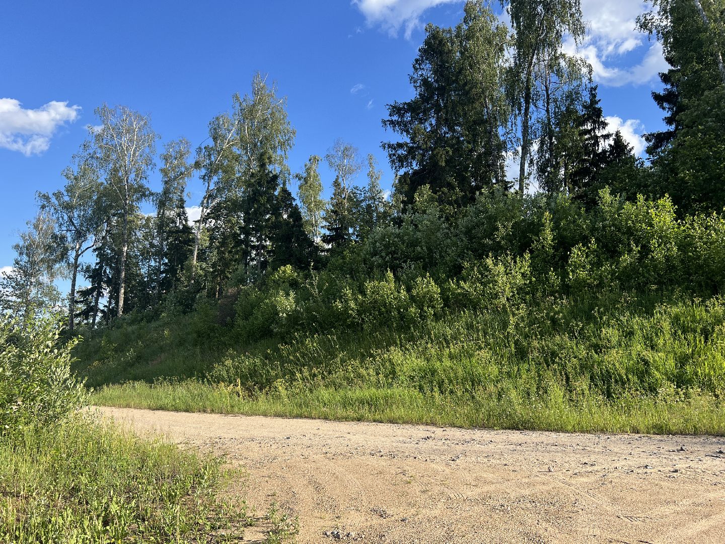 химки, выездная администрация, благоустройство, обращения жителей,