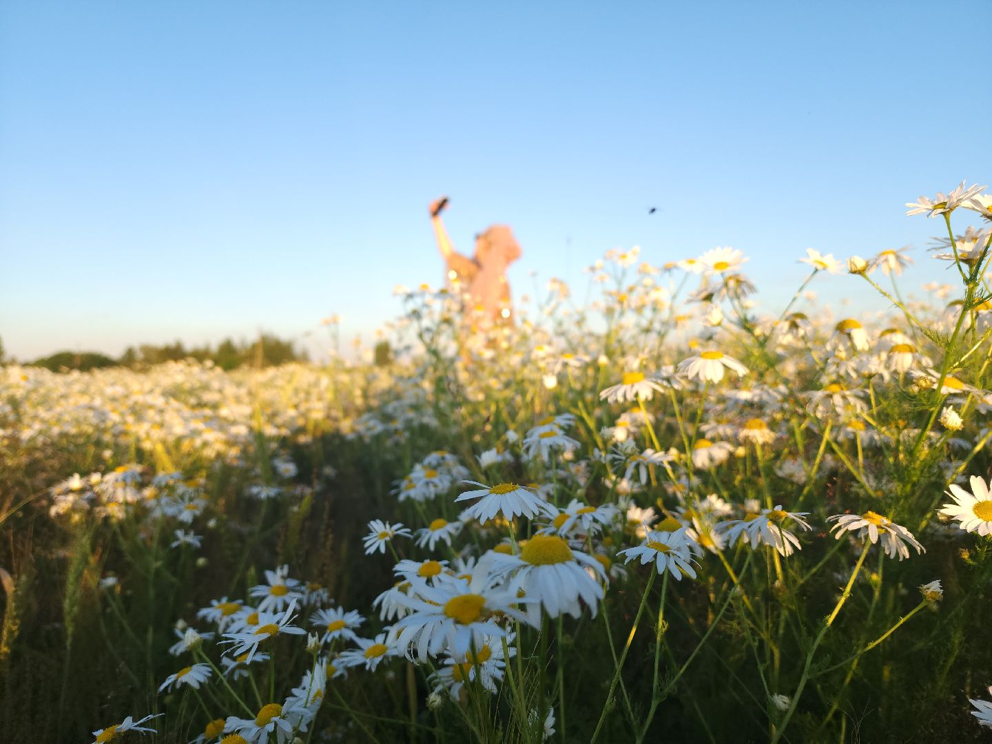 одинцово, фотосессии, туризмм, искусство, мобильная съемка,