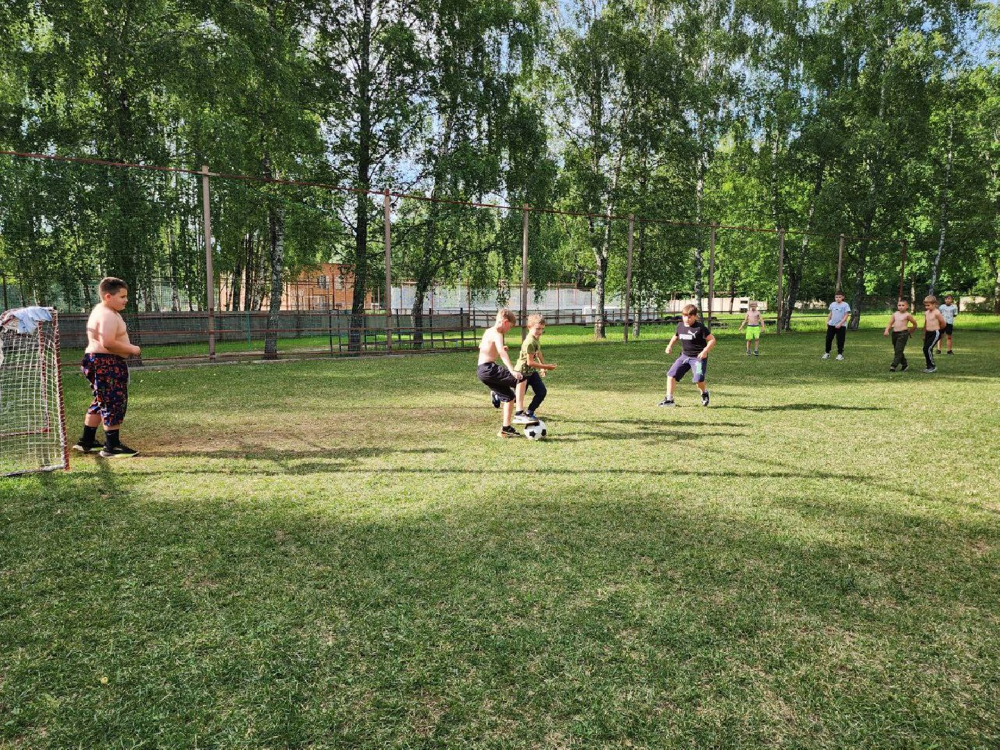 можайск, можайский городской округ, подмосковье, учебно-тренировочные сборы, тренировки, бокс, спорт, мастер спорта России, дети,