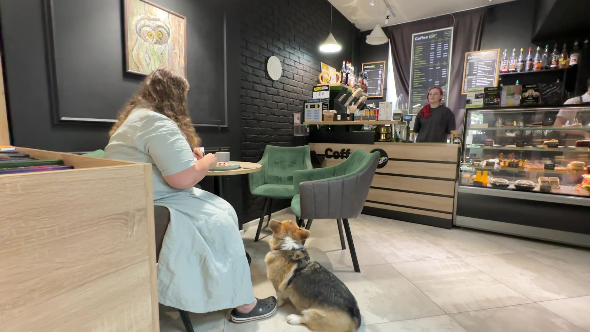 Реутов, петфренжди, дружелюбно к животным, еда, вода, кафе, кошечки, собачки,