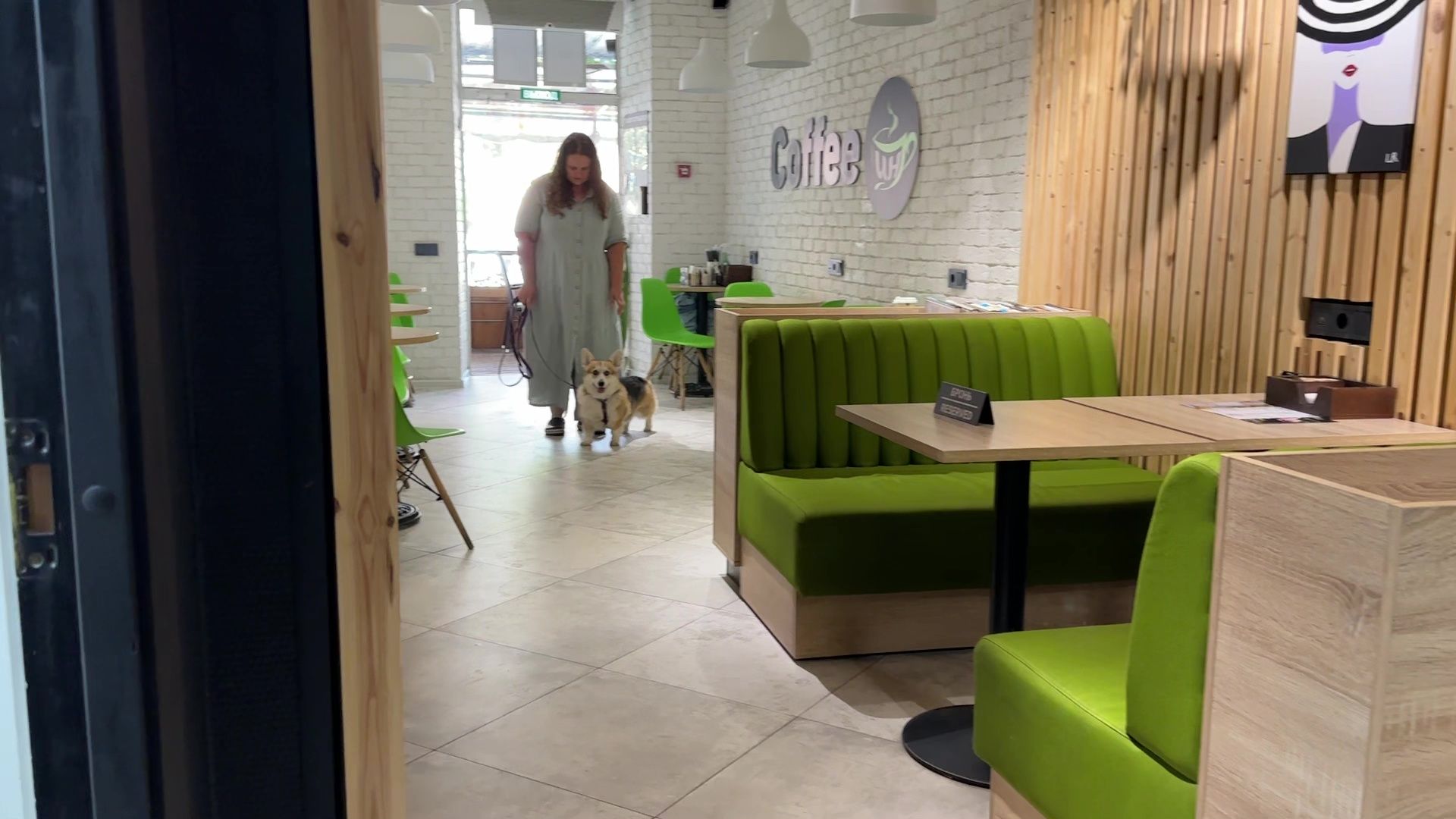 Реутов, петфренжди, дружелюбно к животным, еда, вода, кафе, кошечки, собачки,