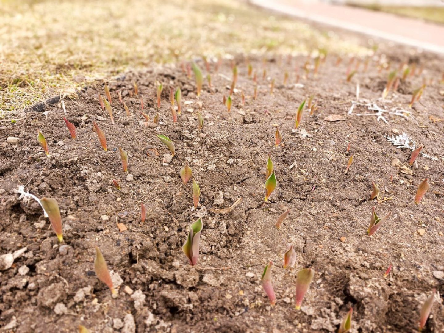 Можайск, Подмосковье, Можайский городской округ, субботник, перемены, храм, Пасха, православный праздник