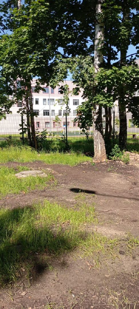 пушкино, благоустройство, подтопления, последствия непогоды,