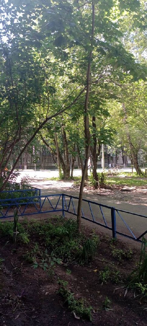 пушкино, благоустройство, подтопления, последствия непогоды,