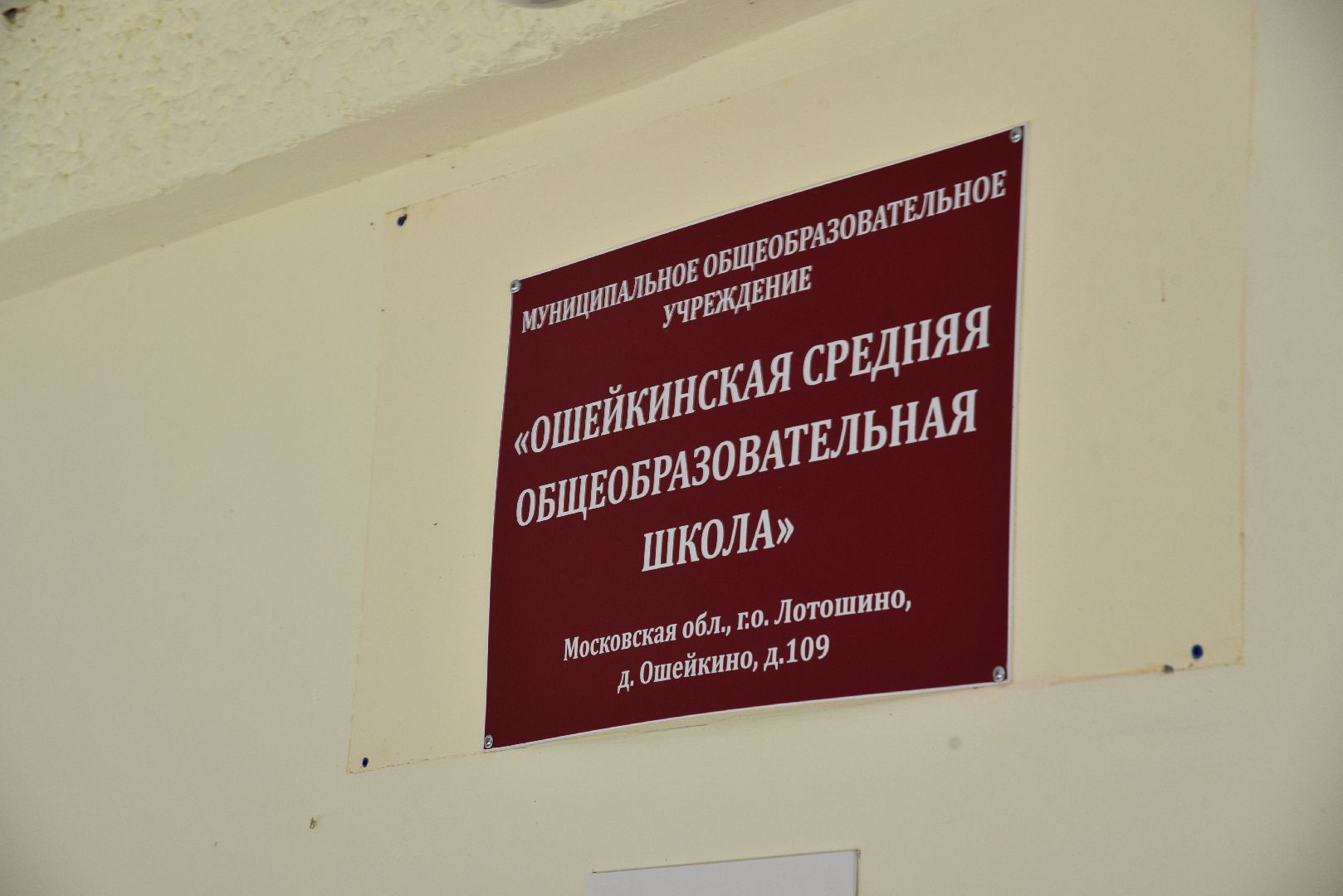 лотошино, ошейкино, ошейкинская школа, выпускник 2024, выпускной 2024, образование,