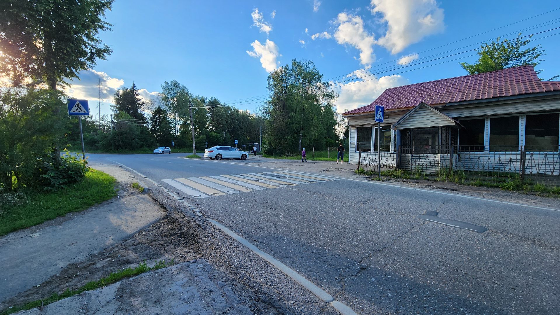 выездная администрация, подмосковье, безопасность, общество, дороги, пешеходный переход, светофор,