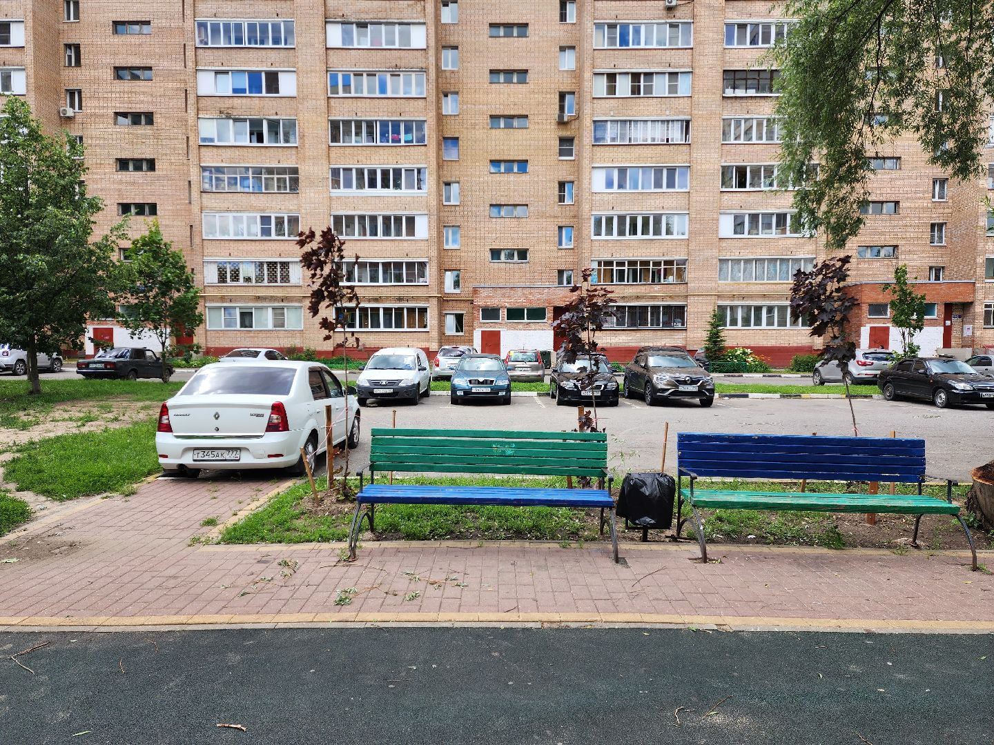 раменское, благоустройство, посадка деревьев, Левашова 31,