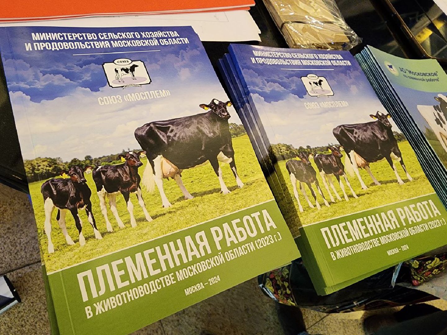 Племенные животные, сельское хозяйство, КСК Виват Россия, Деревня Орлово, Ленинский городской округ, Звезды Подмосковья - 2024,
