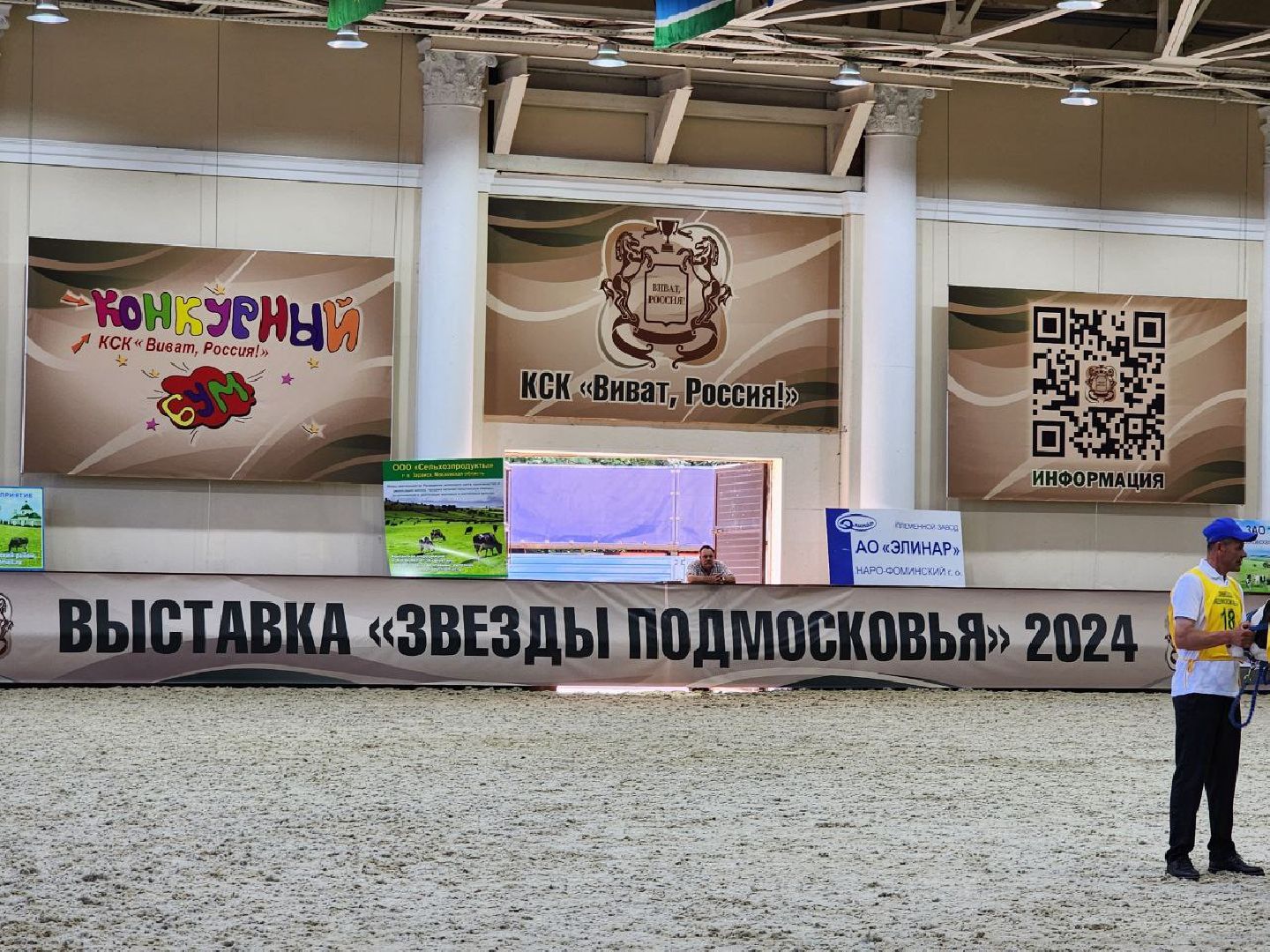 Племенные животные, сельское хозяйство, КСК Виват Россия, Деревня Орлово, Ленинский городской округ, Звезды Подмосковья - 2024,