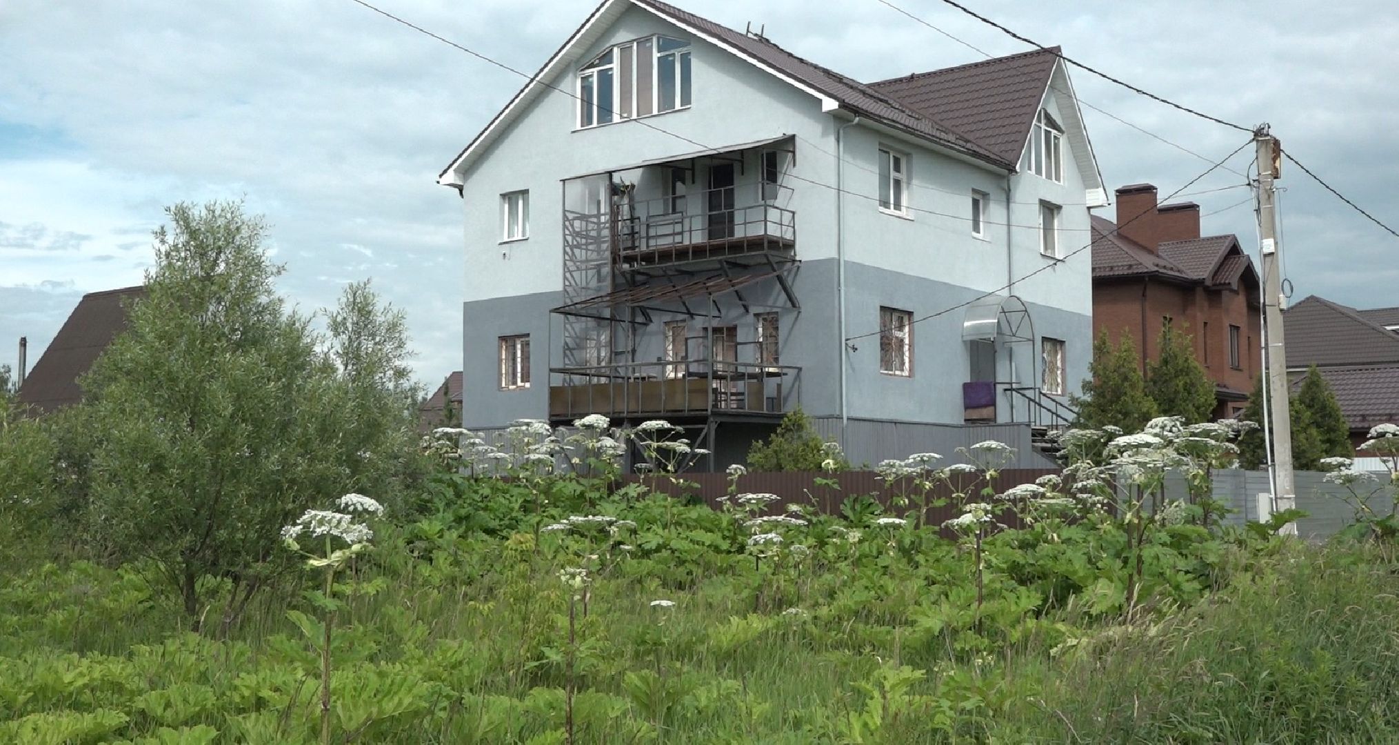 борщевик Сосновского, борьба с борщевиком, Домодедово, экология,