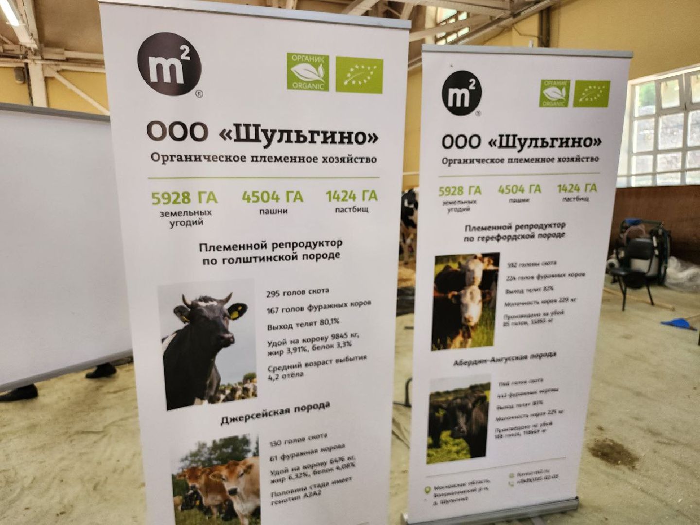 животноводство, агропромышленные комплексы, звезды подмосковья - 2024, Сельское хозяйство, племенное хозяйство, коровы, ленинский городской округ,