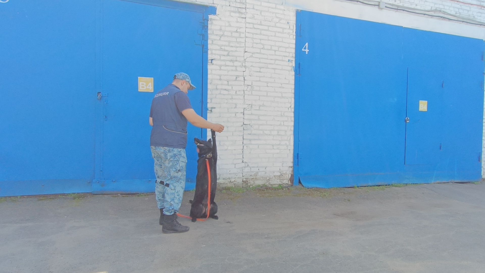 кинолог, полиция, лобня, собака,