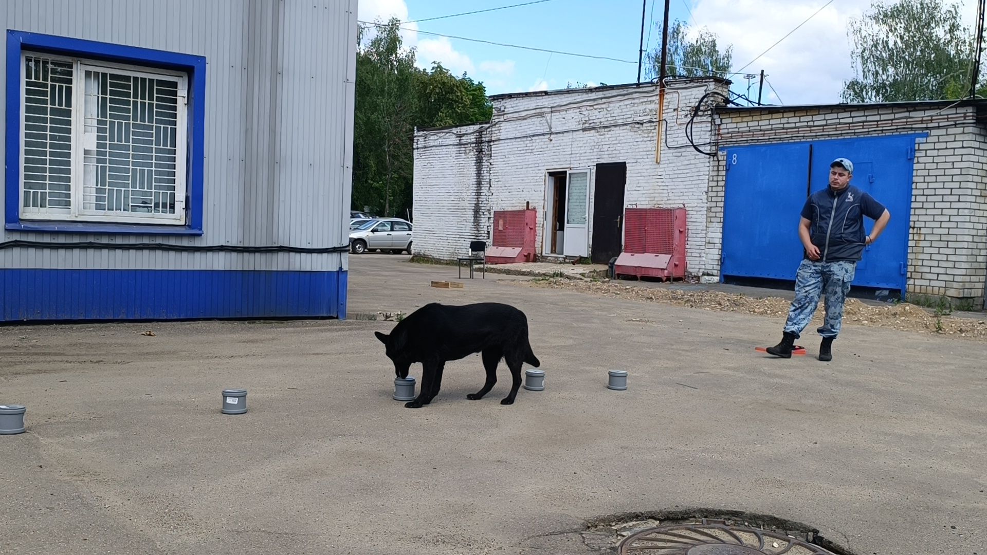 кинолог, полиция, лобня, собака,