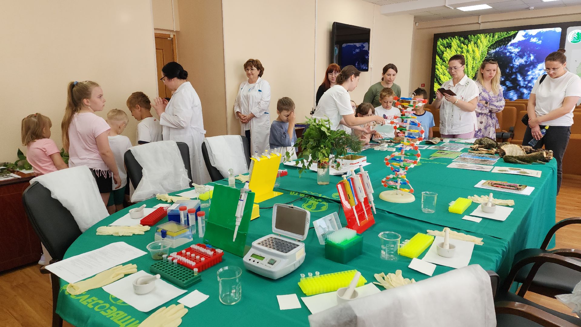 пушкино, защита природы, лес, лесная охрана, детский лагерь, школьники, экскурсия для школьников,