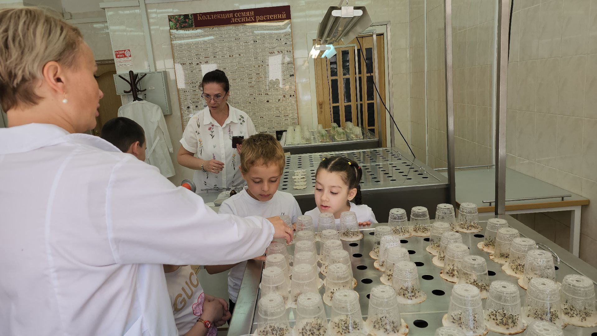 пушкино, защита природы, лес, лесная охрана, детский лагерь, школьники, экскурсия для школьников,